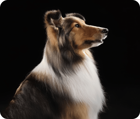 Real-time suggestions when you need it